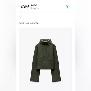 Like New Zara Olive Green Chunky Turtleneck Sweater